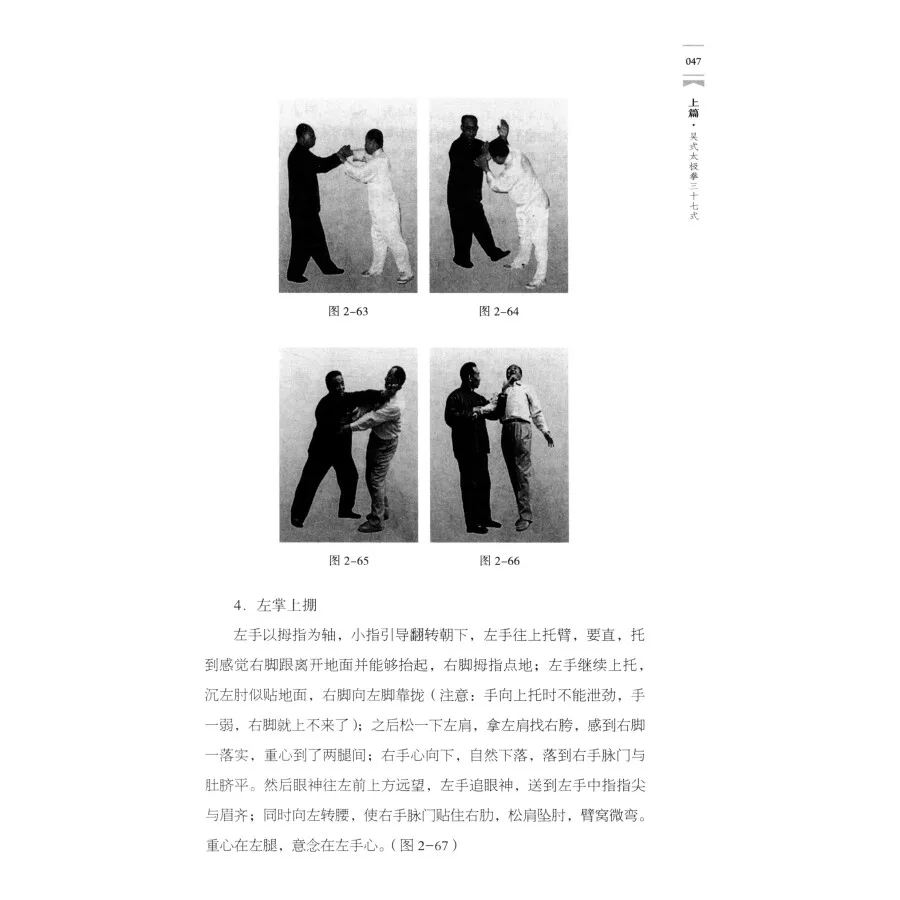 Comentariu la treizeci și șapte mișcări de Wu stil umbra box Taijiquan Carte de Wang Peisheng 3