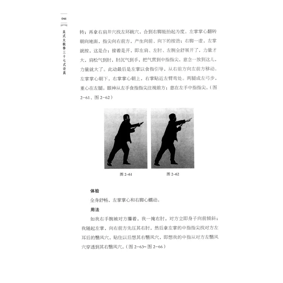 Comentariu la treizeci și șapte mișcări de Wu stil umbra box Taijiquan Carte de Wang Peisheng 4