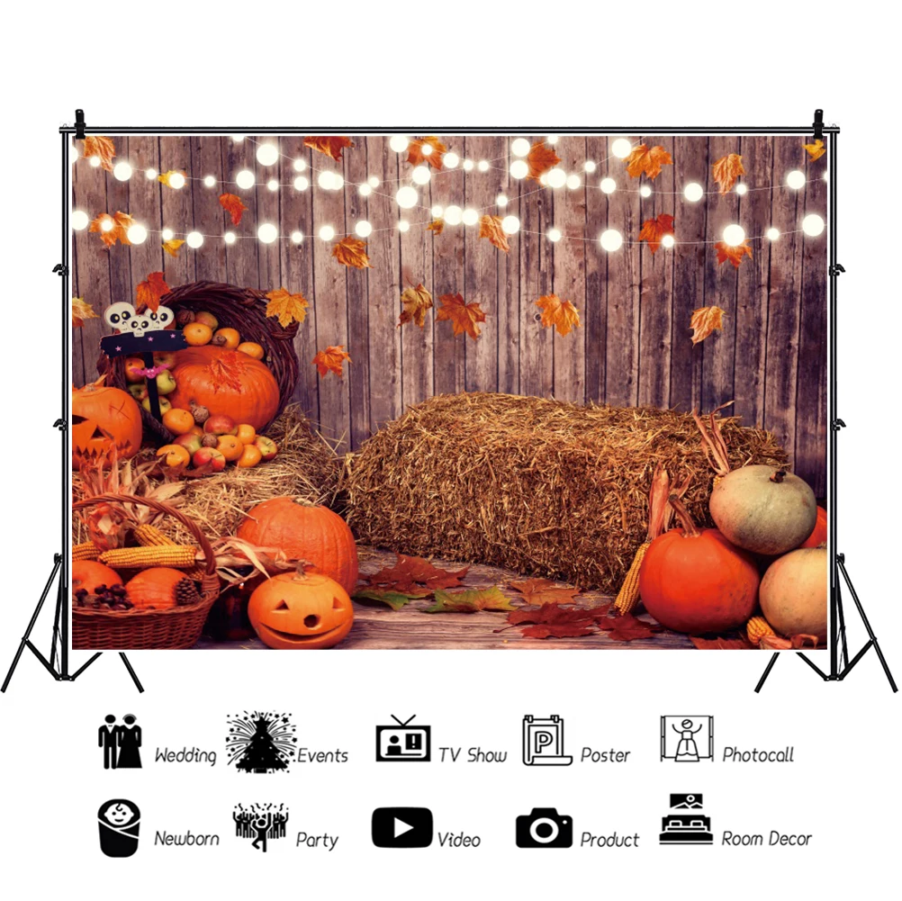 Laeacco Halloween Placa de Lemn Fondul Felinar de Dovleac Fân Copilul Fotografie de Fundal pentru Studio Foto Photophone Cu 6M Coarda 3