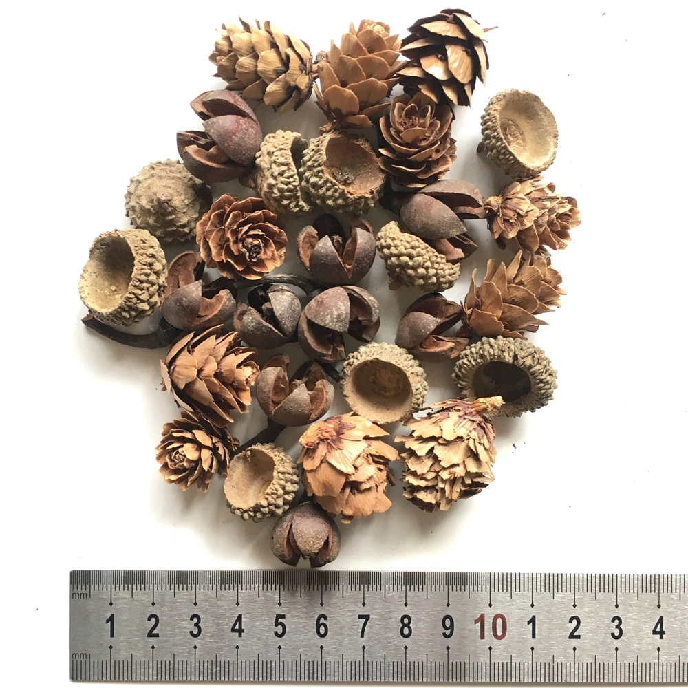 30pcs Naturale Con de Pin, Flori Uscate de plante Ghindă Flori Artificiale Pentru Acasă de Crăciun DIY Coronita Ghirlanda Decor de Anul Nou 1