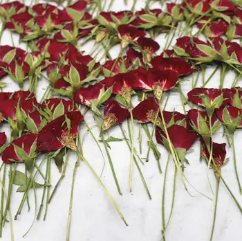 120pcs Presat de Trandafir Uscate de Flori de Plante Ierbar Pentru Bijuterii Rășină Face carte Poștală Cadru Caz de Telefon Ambarcațiuni DIY