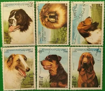 6 BUC,Afganistan Post de Timbru,1998,Câine Timbre,Animale de Timbru,Timbru de Colecție,Folosit cu Mark Post,foarte Original