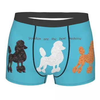 Personalizat Pudel Iubitor De Câine Lenjerie De Corp Pentru Bărbați Breathbale Desene Animate Pudel Boxeri